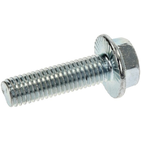 Boulon LELY 200861N