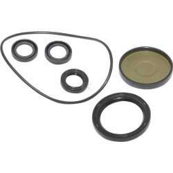 Kit BRIGGS & STRATTON 202B2126GS