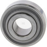 Roulement à rouleaux PEER BEARING 203RYY2B