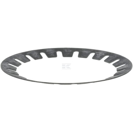 Ressort FENDT (AGCO) 205301020370