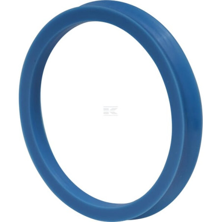 Bague SPICER DANA 2130600603