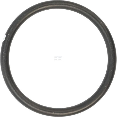 Bague CNH 218774