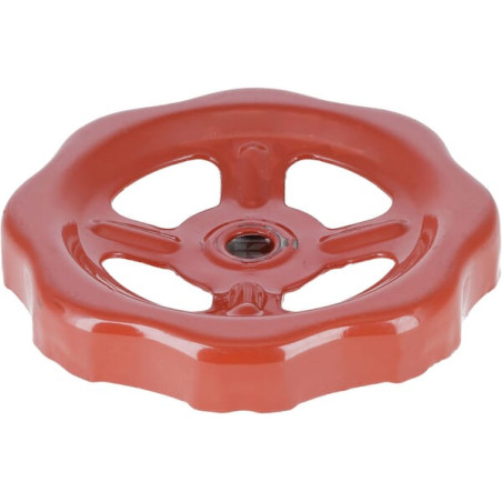 Roue UNBRANDED 217622