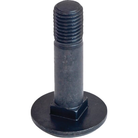 Boulon RABE 22044905