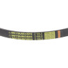 Courroie HONDA 22431V15003