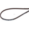 Courroie HONDA 22431VL0P01