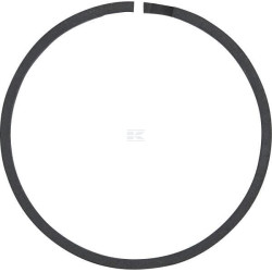 Segment SPICER DANA 230416