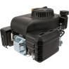Moteur SV200cc STIGA 4 temps axe vertical 22,2x62mm - 118550318/0 - 1185503180