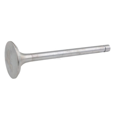 Intake valve UNBRANDED 2401007014B4N