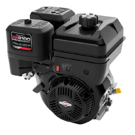 Moteur BRIGGS & STRATTON 25T2320120H5
