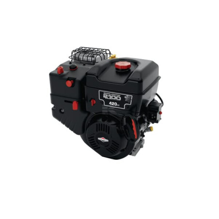 Moteur BRIGGS & STRATTON 25M1371214F1