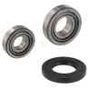 Kit de roulements AL-KO 258310