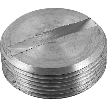 Bouchon de vilebrequin UNIVERSEL 26900080003013