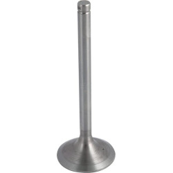 Soupape d'aspiration URSUS 26900089005915