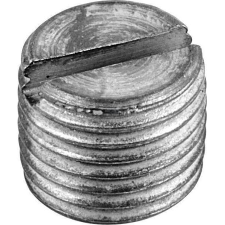Bouchon de vilebrequin UNIVERSEL 26900080003012
