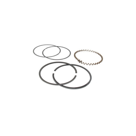 Segment Kohler 235889