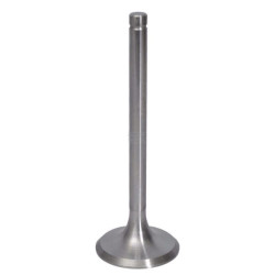 Soupape d'aspiration URSUS 26900080005014