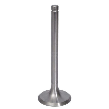 Soupape d'aspiration URSUS 26900080005014