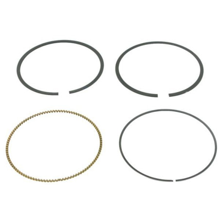 Segments Briggs et Stratton 792306