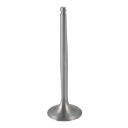 Soupape d'aspiration MASSEY FERGUSON 269031431681