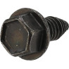 Vis BRIGGS & STRATTON 26X263MA