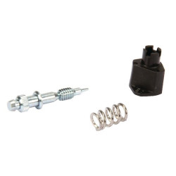 Kit vis de réglage BRIGGS ET STRATTON 794176 - 498030