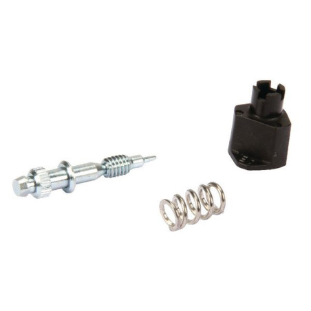 Kit vis de réglage BRIGGS ET STRATTON 794176 - 498030