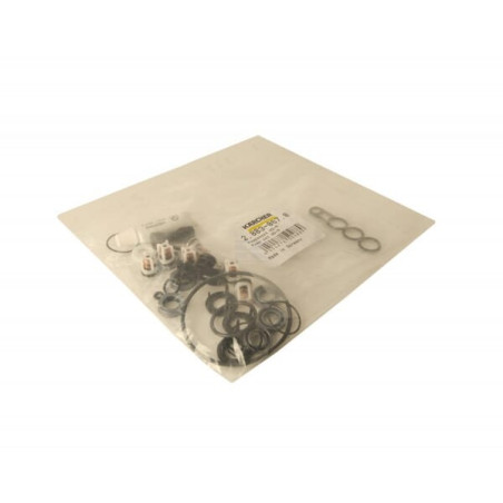 Kit de pompes KÄRCHER 28830670