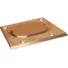 Plaque STRAUTMANN 29319606
