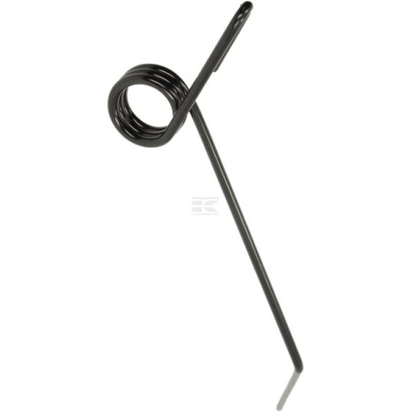 Dent KONGSKILDE 300003947