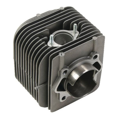 Cylindre BRIGGS ET STRATTON 590519