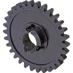 Pignon KONGSKILDE 300063547