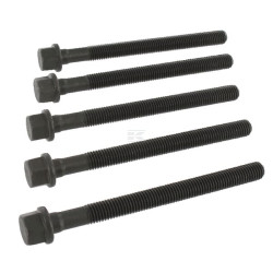 Boulon de culasse NEW HOLLAND 299938A1