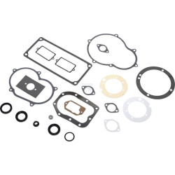 Kit BRIGGS & STRATTON 299719
