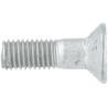 Boulon LEMKEN 30110249