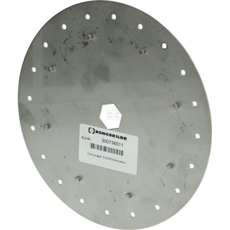Disque KONGSKILDE 300736511
