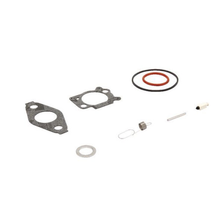 Kit de réparation BRIGGS ET STRATTON 793622