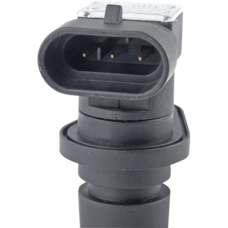 Capteur RI.MA 30250118100