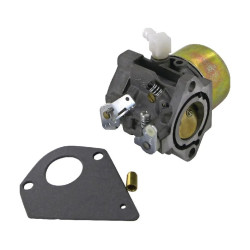 Carburateur BRIGGS ET STRATTON 495784 - 494881