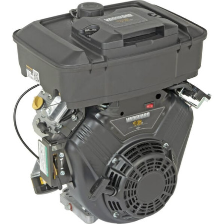 Moteur BRIGGS & STRATTON 3054420613F1