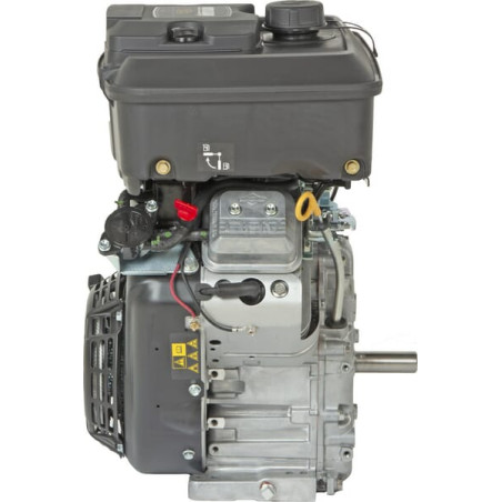 Moteur BRIGGS & STRATTON 3054420613F1