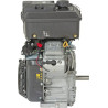 Moteur BRIGGS & STRATTON 3054420613F1