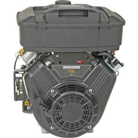 Moteur BRIGGS & STRATTON 3054420613F1