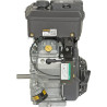 Moteur BRIGGS & STRATTON 3054420613F1