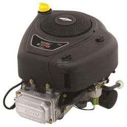 Moteur BRIGGS & STRATTON 31R9770121B5