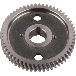 Pignon PERKINS 3117L012