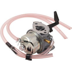 Carburateur BRIGGS & STRATTON 311392GS