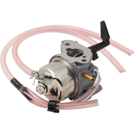 Carburateur BRIGGS & STRATTON 311392GS
