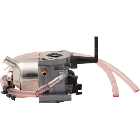 Carburateur BRIGGS & STRATTON 311392GS