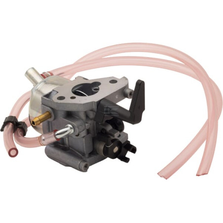 Carburateur BRIGGS & STRATTON 311392GS
